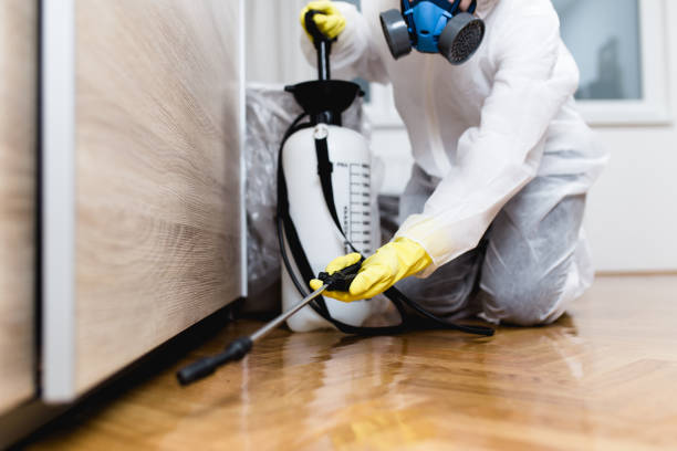 Best Mosquito Control Services  in East Syracuse, NY