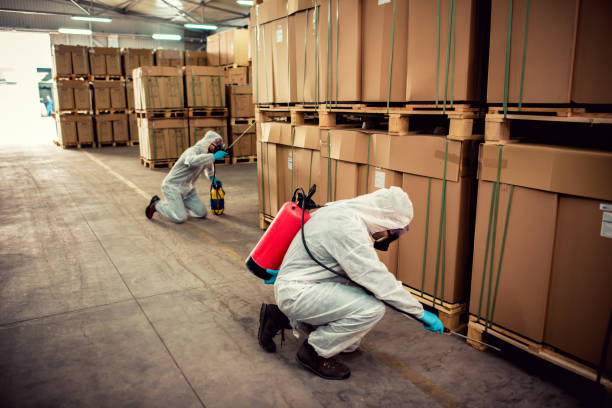 Best Pest Control Near Me  in East Syracuse, NY