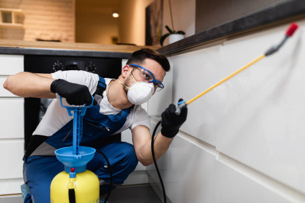 Best Pest Control Treatment  in East Syracuse, NY