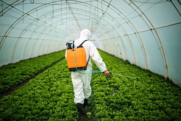 Best Local Pest Control Services  in East Syracuse, NY