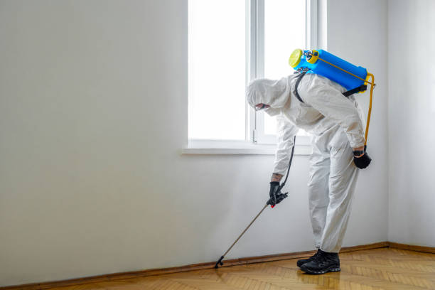 Best Mosquito Control Services  in East Syracuse, NY