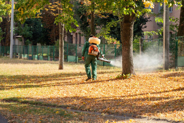 Best Pest Control for Businesses  in East Syracuse, NY