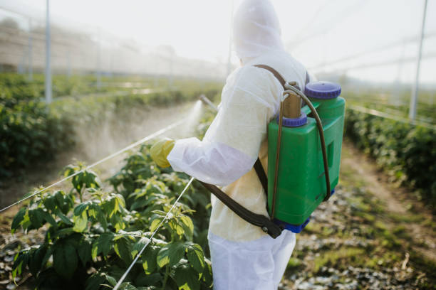 Pest Prevention Services in East Syracuse, NY